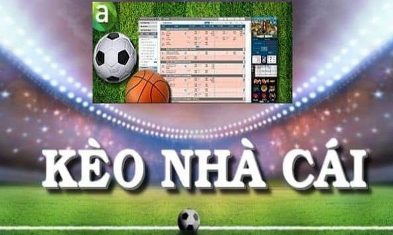 Nắm rõ quy tắc từng loại kèo